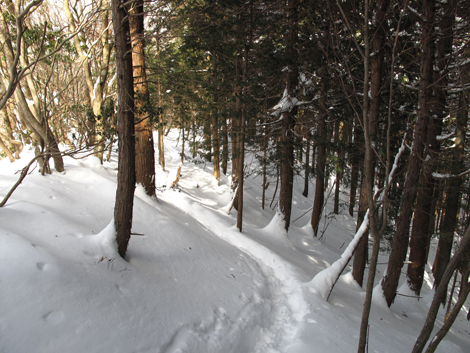 20140211hike (169)